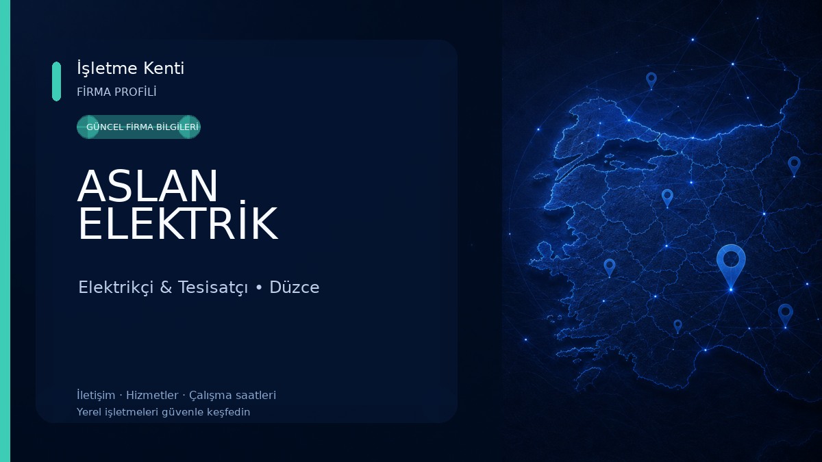 ASLAN ELEKTRİK